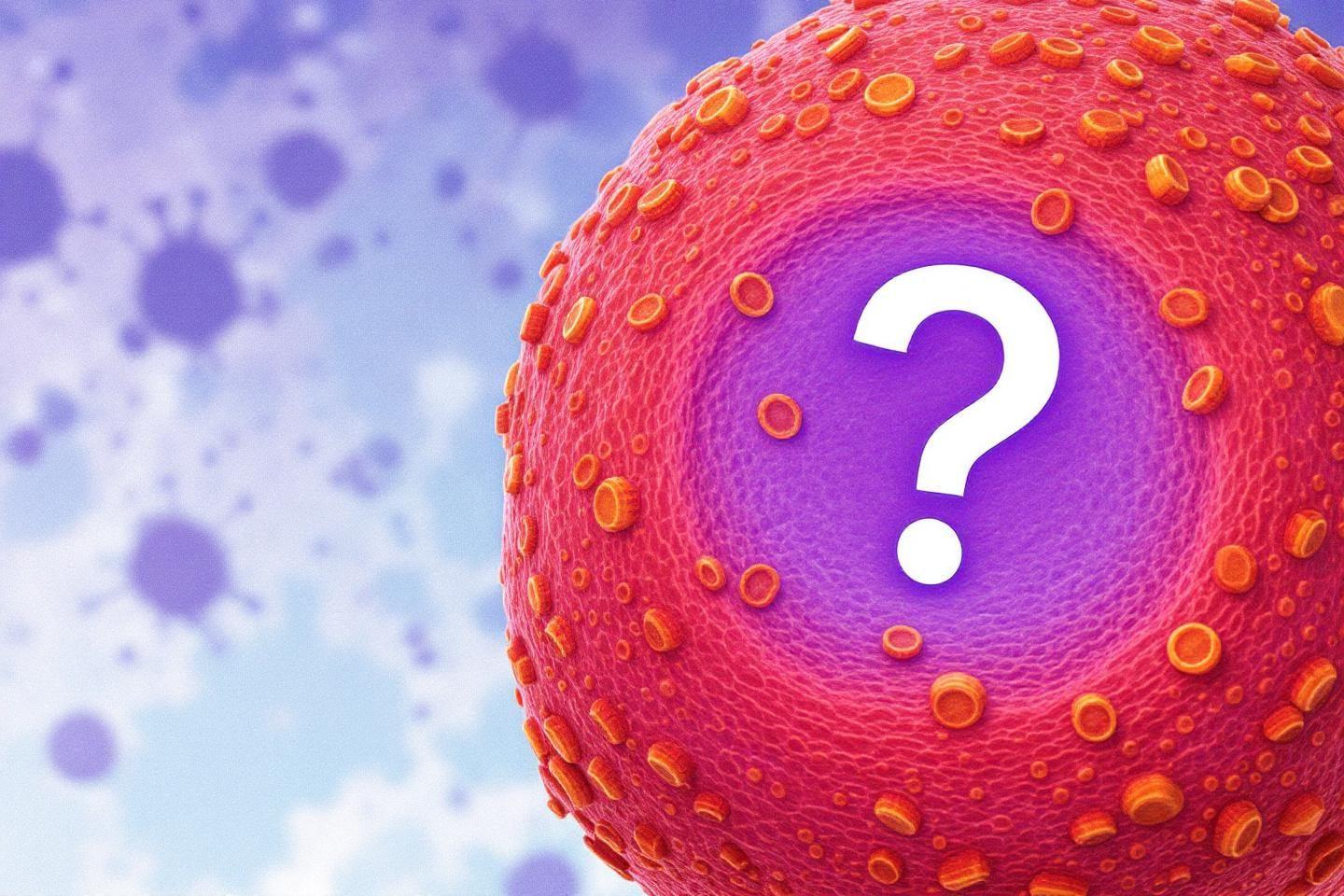 Glutamine et cancer : danger potentiel ou idée reçue ?